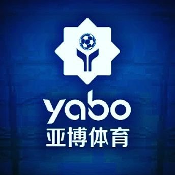2021年，完成了巴黎圣日尔曼、里昂、曼城等众多知名巨头的商业赞助合同。的大部分合同将以滚动广告、场地广告赞助和副球衣广告的形式完成。